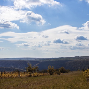 старый орхей, поле, виноградники