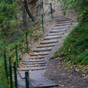 сахарна, тропинка