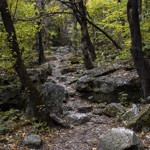 сахарна, тропинка