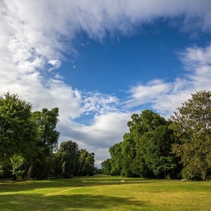 wiesbaden, biebrich