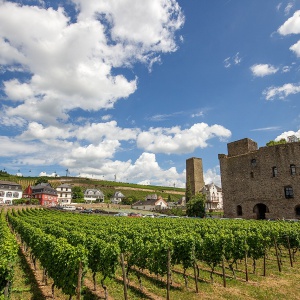 rudesheim am rhein