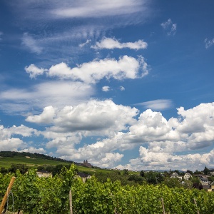 rudesheim am rhein