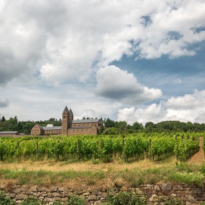 rudesheim am rhein