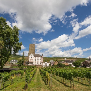 rudesheim am rhein